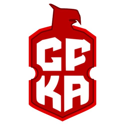 GOAL-FEST KICKS ACADEMY
